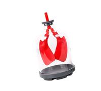 Interactive Teaching Tool Breathing Mechanism Showing Diaphragm Movement and Lung Exchange for Student Engagement Lung Exchange Model