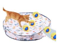 Interactive Toys Ball Fast in Pouch Hide and Toy Kitten Mouse Motion Toy Interactive See Catching Activated B9A2