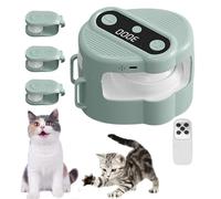 Interactive Toys for Cats - Quiet Treadmill Game with Remote Control - Active Cat Toys with Adjustable Speed,for Playroom Apartment Corner Play Area Alone Time Home