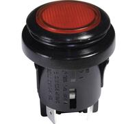 interBär 3659-295.22 Pushbutton Switch 250V AC 16A IP65 Dust/Water...