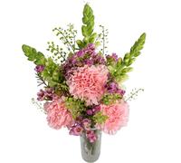 InterBloom Letterbox Fresh Flower Bouquet - Snapdragons & Carnations - Premium Florist Stems - Thoughtful Gift - Next Day UK Delivery