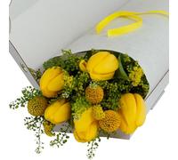 InterBloom Letterbox Fresh Flower Bouquet - Tulips & Craspedia - Premium Florist Stems - Thoughtful Gift - Next Day UK Delivery