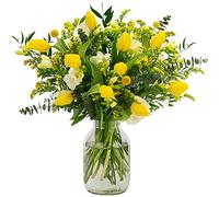InterBloom | The Mellow - Next Day Large Beautiful Fresh Flower Bouquet with Yellow Tulips, White Freesias, Solidago, Craspedia, Italian Ruscus and Eucalyptus