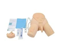 Interchangeable Male & Female Catheterisation Trainer - Realistic Nursing Manikin for Clinical Practice & Medical Training | Advanced Urinary Catheter Simulator