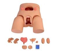 Interchangeable Male & Female Catheterization Manikin Model - Realistic Nursing Training Kit with Urinary Catheter, Injection Modules, and Detailed Instructions for Medical Students & Professionals