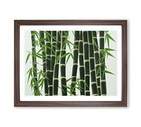 Interesting Bamboo Forest Framed Wall Art Print A2 Walnut