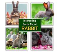 Interesting Facts about Rabbit: Rabbit Educational Wildlife Picture Book for Kids