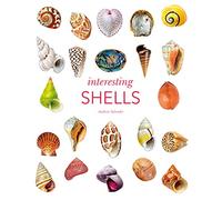 Interesting Shells