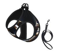 Interesting Skeleton Print Dog Harness Reflective Pet Vest Harness Puppy Harnesses Leash Set,For Walking Training