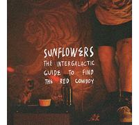 Intergalactic Guide to Find The Red Cowboy