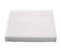 Interior Air Filter DE1528 by Filter Parts Made in Italy
