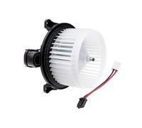 NTY EWN-VV-004 Blower motor