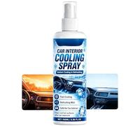 Interior Car Cold Spray 100ml Long-Lasting Instant Cold