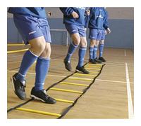 Precision Indoor Agility Ladder 4 M Blue