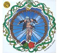internal exile 12