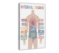 Internal Organ Educational Poster 2 Canvas Poster Bedroom Decor Landscape Office Room Decor Gift 16x24inch(40x60cm)