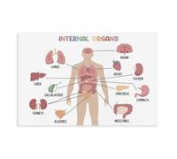 Internal Organ Educational Poster Canvas Poster Bedroom Decor Landscape Office Room Decor Gift 08x12inch(20x30cm)
