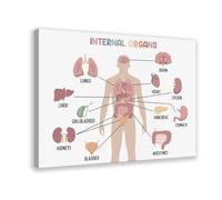 Internal Organ Educational Poster Canvas Poster Bedroom Decor Landscape Office Room Decor Gift 08x12inch(20x30cm)