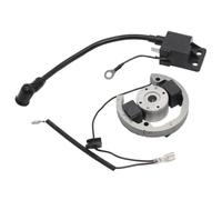 Internal Rotor Ignition Stator Flywheel Kit 50cc 2 Stroke Compatible With Automotive Motorcycle Parts For SX 50 Moped Motocross