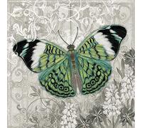 International Graphics - Finished Picture - Alan, Hopfensperger - ''Green Butterfly I''- 30 x 30 cm - Direct printing on acrylic glass