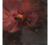 International Graphics - Finished Picture - Geneviève, Naudin - ''Deuil éclatant''- 30 x 30 cm - Direct printing on acrylic glass