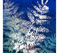 International Graphics - Finished Picture - Mira - ''Silver''- 30 x 30 cm - Direct printing on acrylic glass