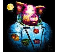 International Graphics - Finished Picture - Patrice, Murciano - ''Pig in Space''- 30 x 30 cm - Direct printing on acrylic glass