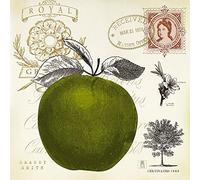 International Graphics - Finished Picture - Studio Mousseau - ''Apple Notes''- 30 x 30 cm - Direct printing on acrylic glass