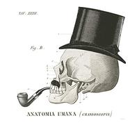 International Graphics - Finished Picture - Sue, Schlabach - ''Dandy Bones II''- 30 x 30 cm - Direct printing on acrylic glass