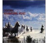 International Velvet
