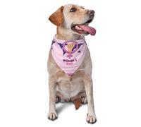 International Women'S Day 2025 Embrace Equity Dog Bandanas Triangle Bibs Pet Scarf For Small Medium Large Dogs And Cat