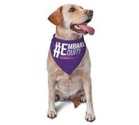 International Women'S Day 2025 Embrace Equity Dog Bandanas Triangle Bibs Pet Scarf For Small Medium Large Dogs And Cat