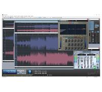 Internet Sound it! Pro Windows