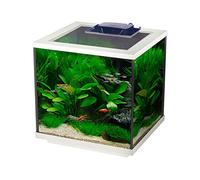Interpet Aqua Cube Glass Fish Tank Aquarium with Integrated LED Lighting and Easy Care Filter, 28L, Clear/White