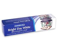 Interpet Brightday Replacement Lamp, 15 W, White