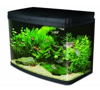 Interpet Insight Glass Aquarium Fish Tank Starter Kit, with LED Lights, Easy Care Filter, Heater, Aquacare Reminder System, Water Condiditioner, 64 L
