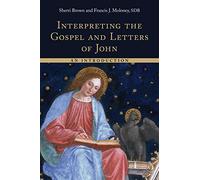 Interpreting the Gospel and Letters of John: An Introduction