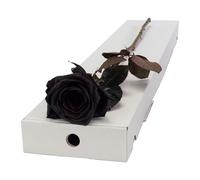 InterRose | Single Black Rose Stem presented in a letterbox friendly box with a Name a Rose keepsake