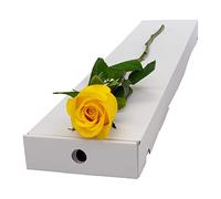 InterRose | Single Yellow Rose Stem presented in a letterbox friendly box with a Name a Rose keepsake
