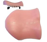 Intervertebral Foraminioscopy Simulation Training Model - Human Back Model with Lumbar Disc 1-5, Disc Herniation and Spinous Processes for Medical Training