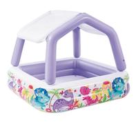 Intex Sun Shade Pool