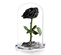 INTIGNIS Black Preserved Forever Rose in Glass Dome Gift, 25cm Tall, Lasts 5 Years