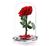 INTIGNIS Red Preserved Forever Rose in Glass Dome Gift, 25cm Tall, Lasts 5 Years