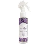 Intimate Earth Lavandula Sex Toy Cleaner Spray 125ml