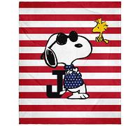 INTIMO Peanuts Joe Cool Snoopy Woodstock Flag Plush Fleece Throw Blanket Wall Scroll