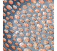 Into It. Over It. - Into It. Over It. & Hikes Present: Reciprocity [Vinyl LP] [VINYL]