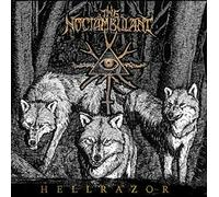 Into It. Over It. & Koji - Iioi-Koji