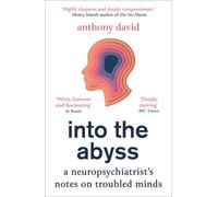 Into the Abyss by Anthony David (Paperback Book)