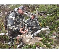 Into the Clouds Coastal Blacktail Deer