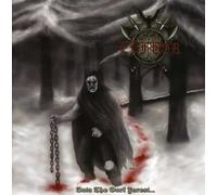 Into The Dark Forest